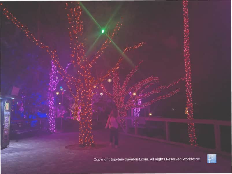 Colorful Christmas lights at Zoo Tampa