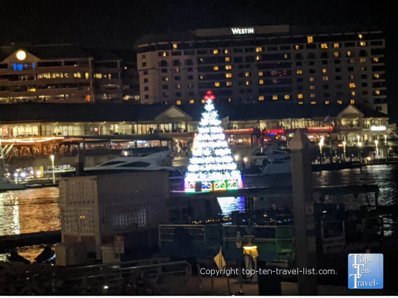 Floating Christmas tree in Tampa