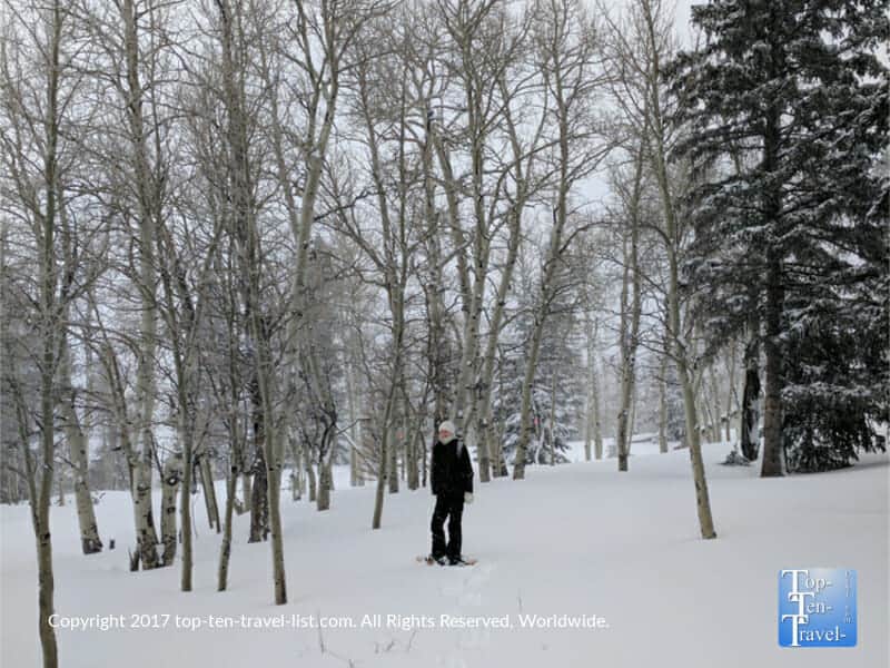 Snowshoeing the gorgeous Aspen Nature Loop in Flagstaff