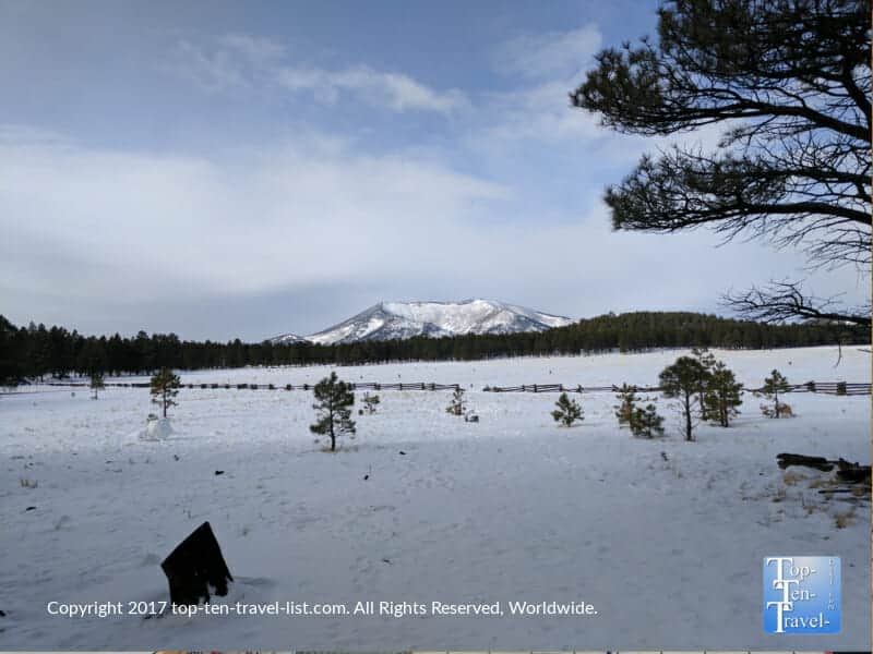 Gorgeous snowy views at Kendrick Watchable Wildlife Park in Flagstaff, Arizona