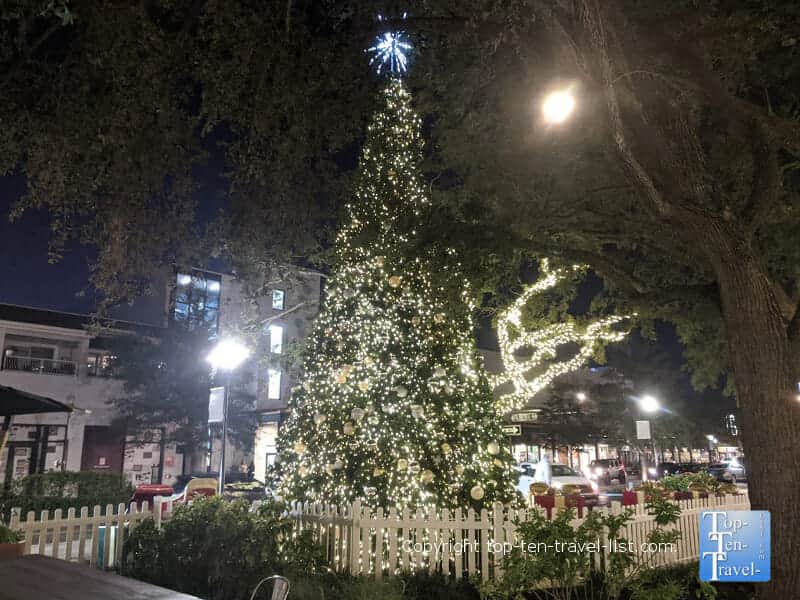 Pretty Christmas tree at Hyde Park Village in Tampa