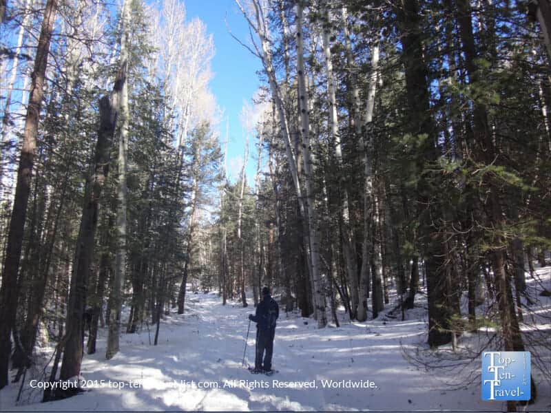 Snowshoeing at Veit Springs in Arizona