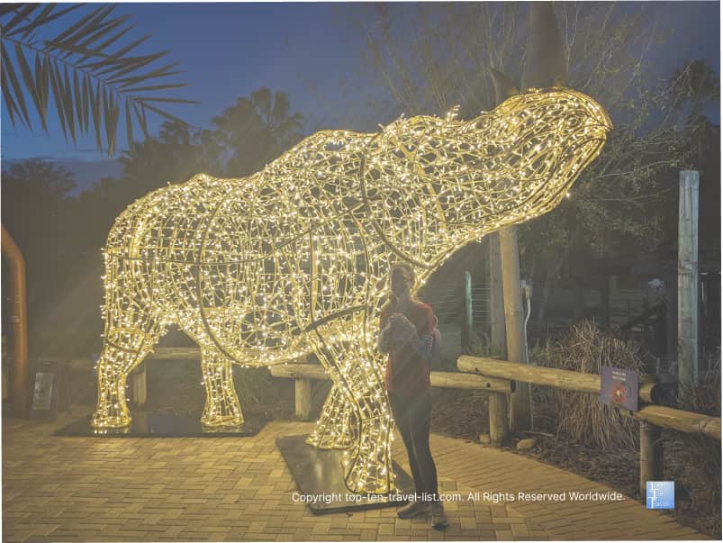 Rhino at Zoo Tampa Christmas in the Wild