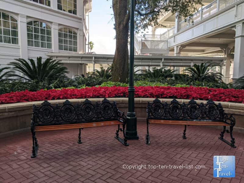 Poinsettias at the Grand Floridian Resort