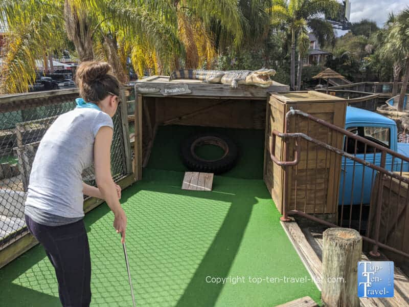 Gator on the Gator Golf course in Orlando
