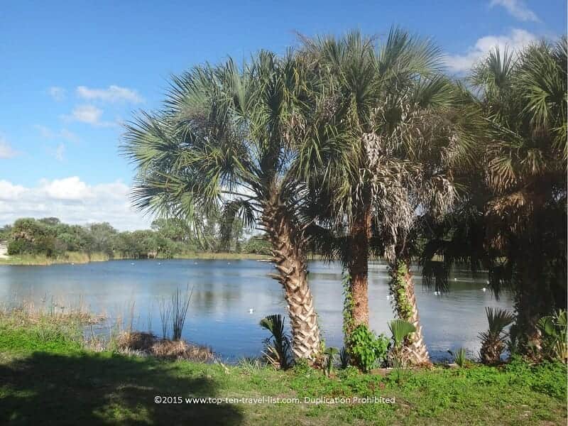 Oscar Scherer Park in Sarasota