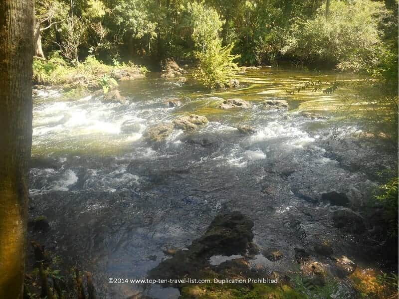 Class II rapids at Hillsborough River State Park in Tampa, Florida 