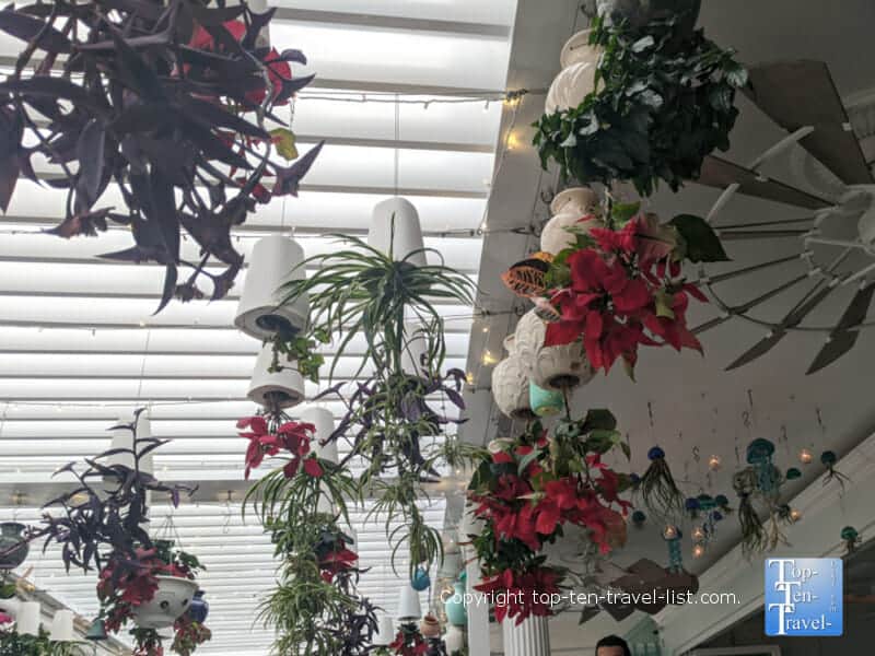 Beautiful patio at Mediterrano restaurant in Naples, Florida 