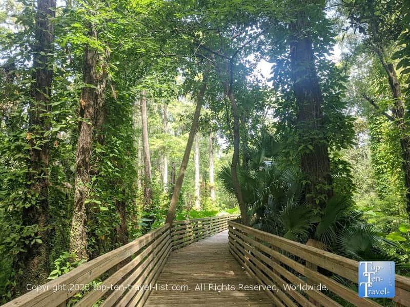 Eureka Springs preserve in Tampa, Florida 