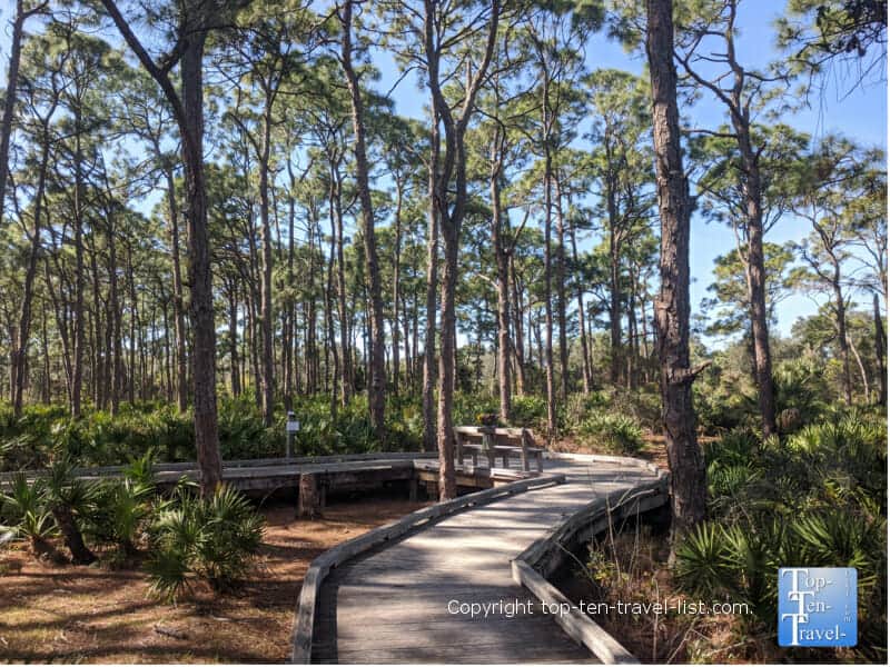 Peaceful boardwalk trail at The Naples Preserve 