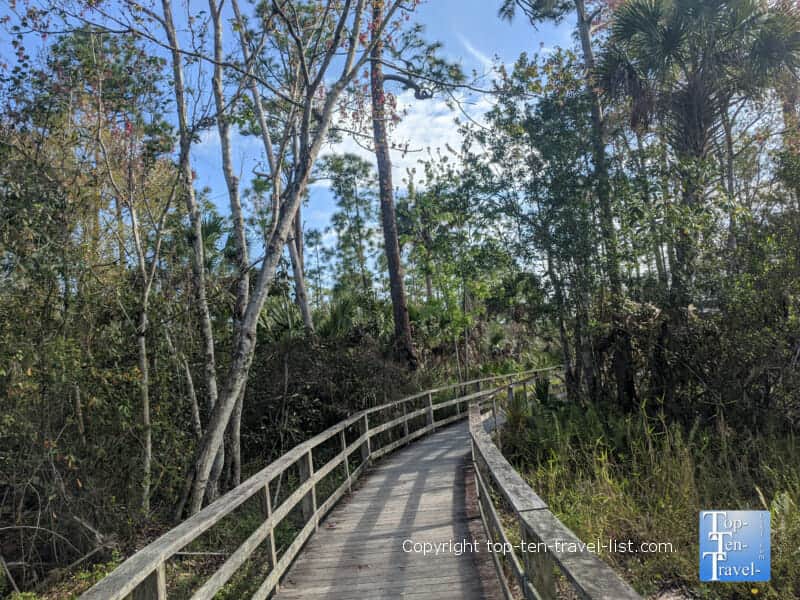 The boardwalk trail at Corkscrew Swamp Sanctuary in Southwest Florida