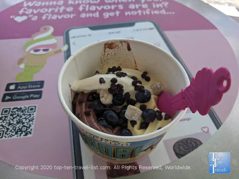 Vegan frozen yogurt at Menchie's in Tampa Bay, Florida