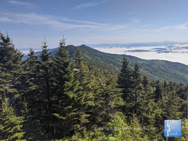 Gorgeous mountain view at Mt. Mitchell