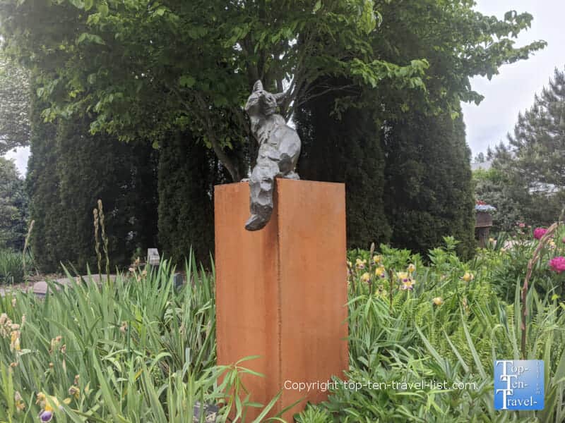 Wild Art event at the North Carolina Arboretum in Asheville, North Carolina