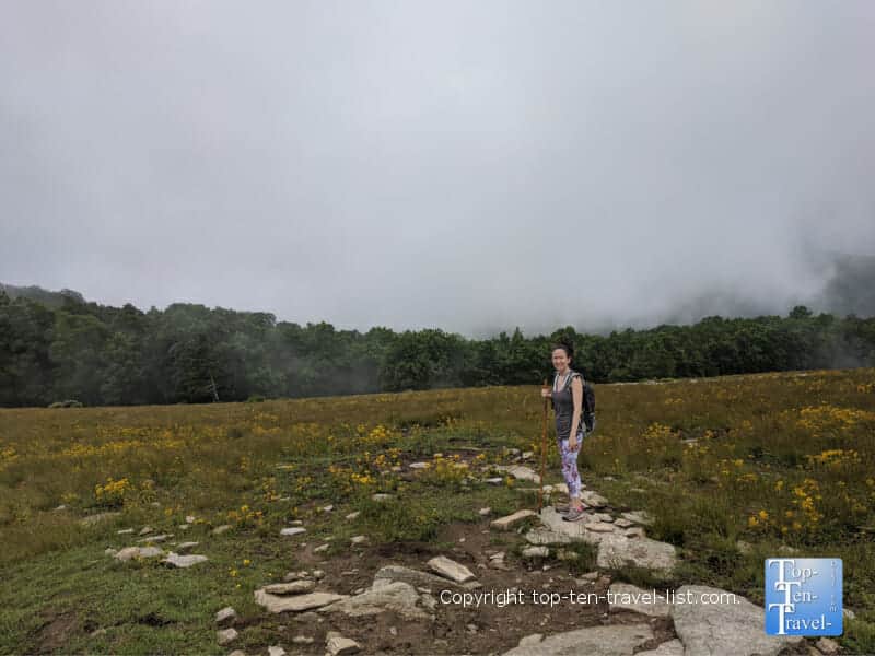 Misty overlook views on Bear Wallow Mountain in North Carolina