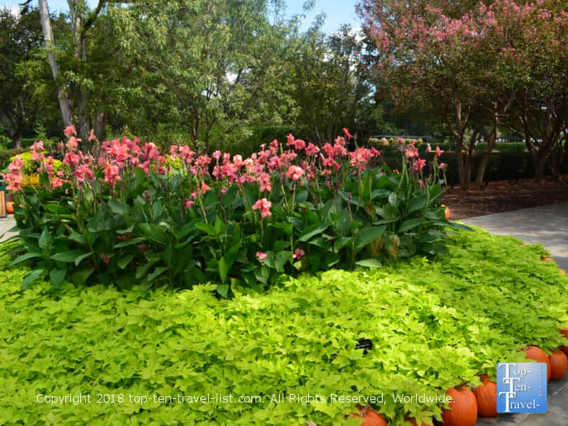 Beautiful garden at the Dallas Arboretum 