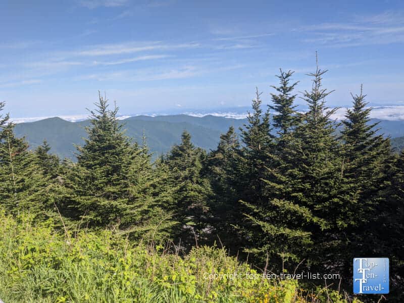 Mountain scenery at Mt. Mitchell State Park in North Carolina 