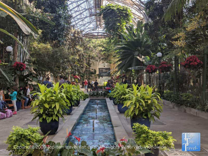 Beautiful plant life at the US Botanical Gardens in DC