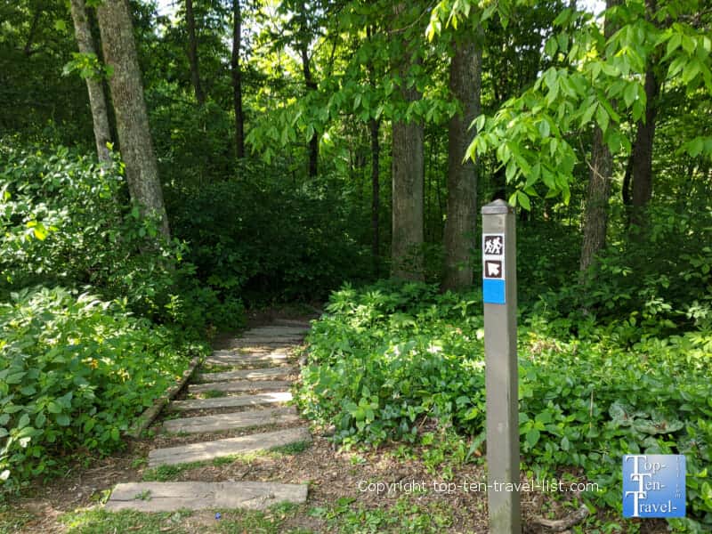 Blue trail at Jump Off Rock park in Western North Carolina 