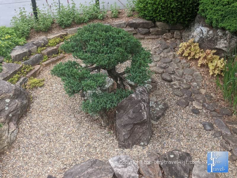 Bonsai exhibit at the North Carolina Arboretum in Asheville, North Carolina