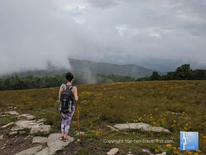 Enjoying the view on the summit of the Bearwallow Mountain trail in Western North Carolina