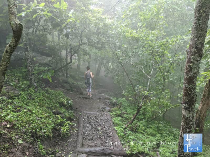 Hiking the Bearwallow Mountain trail in Western North Carolina