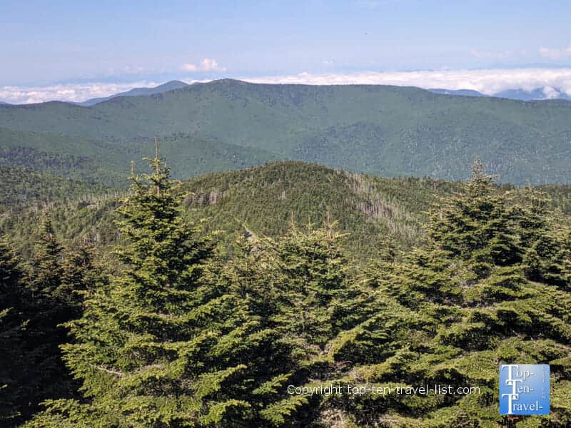 Mountain scenery at Mt. Mitchell