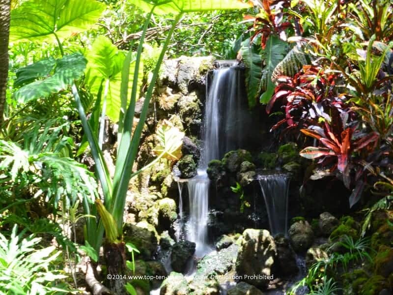 Pretty waterfall at Sunken Gardens in St. Petersburg, Florida 