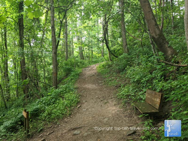 Quiet nature trail at Collier Cove Nature Preserve in Asheville, NC
