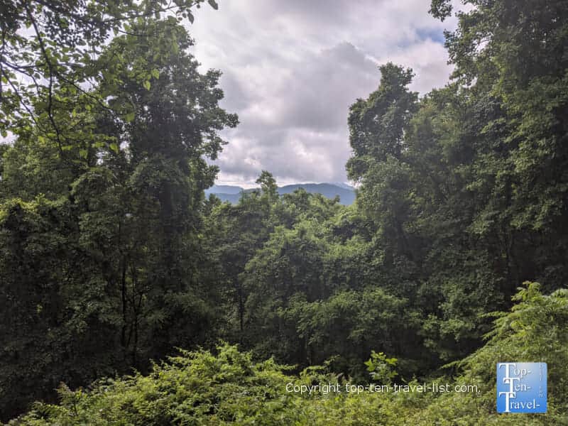 Scenic overlook at Collier Cove Nature Preserve in Arden, North Carolina 
