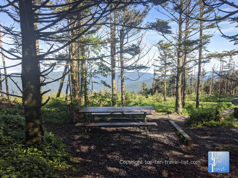 Shady picnic area at Mt. Mitchell State Park in North Carolina 