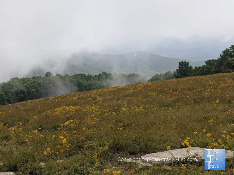 Scenic vista on the summit of the Bearwallow Mountain hiking trail in Hendersonville, North Carolina