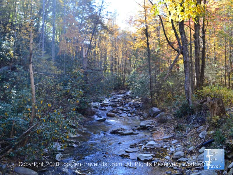 Fall colors along the Catawba Falls trail in North Carolina 