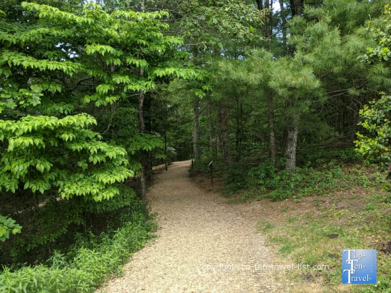 Shady trail at the North Carolina Arboretum in Asheville