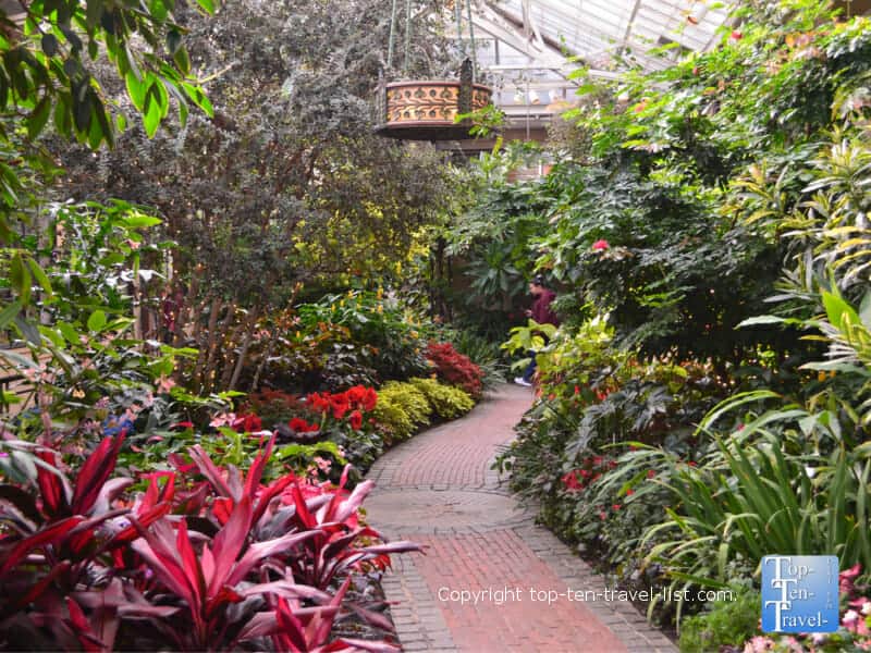 Tropical oasis at Longwood Gardens in Pennsylvania 