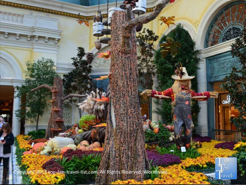 Fall display Bellagio Gardens
