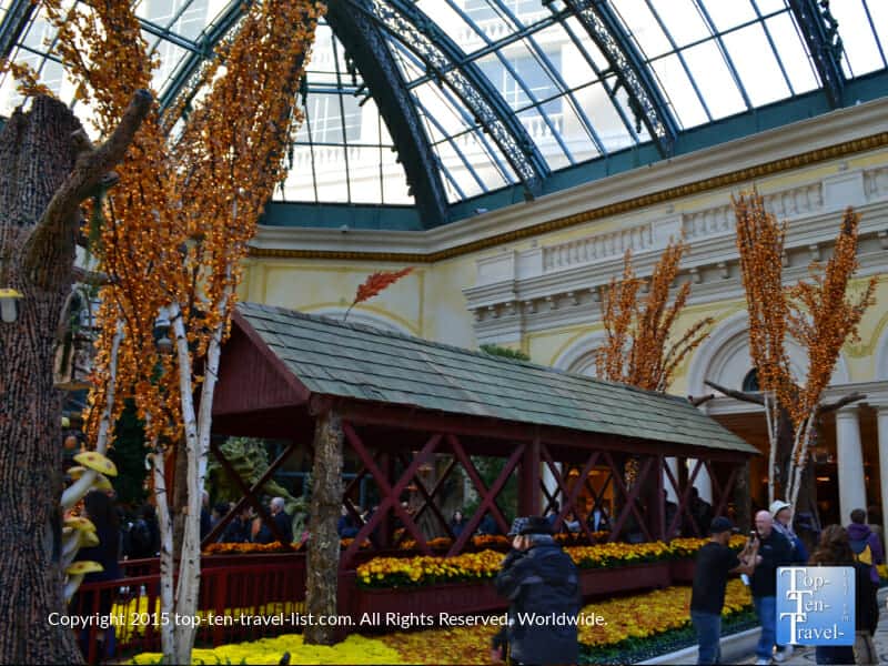 Bellagio Gardens fall display
