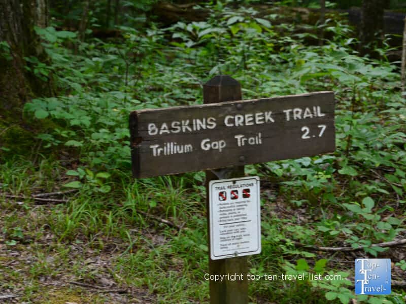 Bakins Creek trail in the Great Smoky Mountains National Park