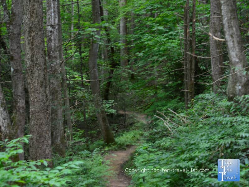The Baskin's Creek Trail along the Roaring Fork Motor Nature trail in Gatlinburg, Tennessee