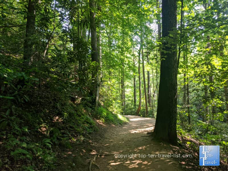 Moore Cove Falls hike in Transylvania County, North Carolina 