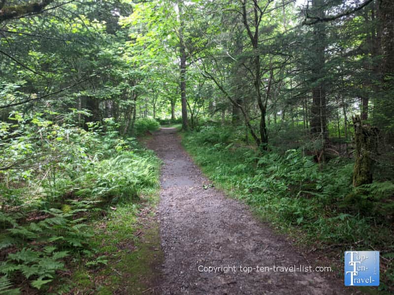 Beautiful scenery along the Richard Balsam trail on the Blue Ridge Parkway