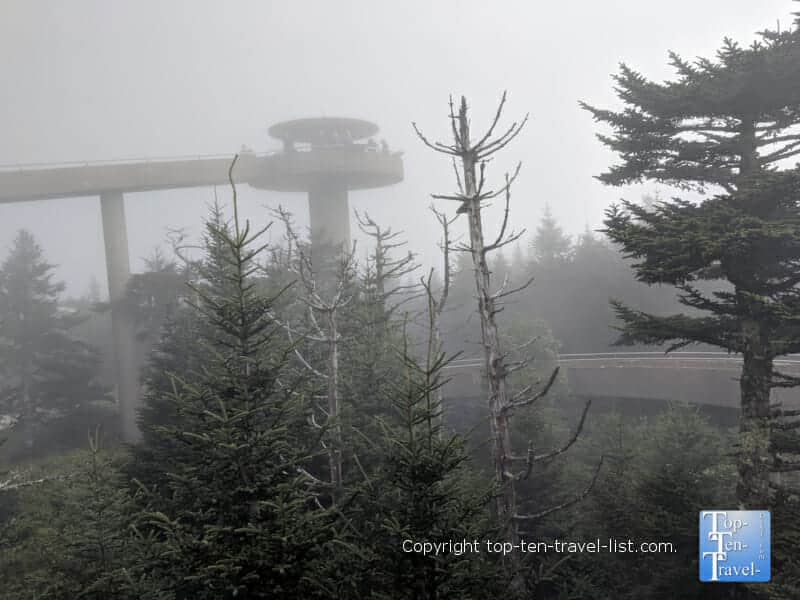 Clingman's Dome - the highest point in the Smoky Mountains