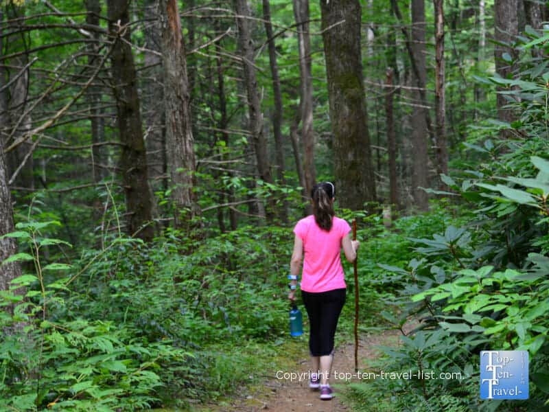 Hiking Baskins Creek trail along the Roaring Fork Motor Nature trail in Gatlinburg, Tennessee