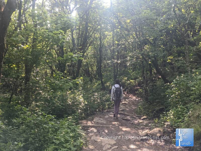 Hiking the Craggy Pinnacle trail along the Blue Ridge Parkway in Western North Carolina 
