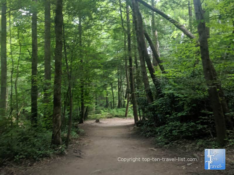 Peaceful hiking trail to Cataract Falls in the Great Smoky Mountains National Park in Tennessee