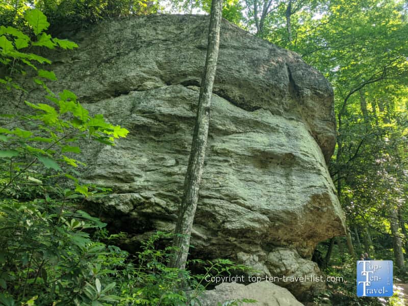 Large rock outcropping along the Moore Cove Falls trail in Transylvania County, North Carolina