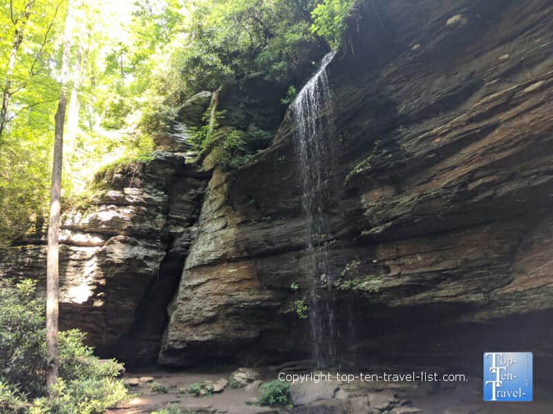 Moore Cove Falls in Brevard