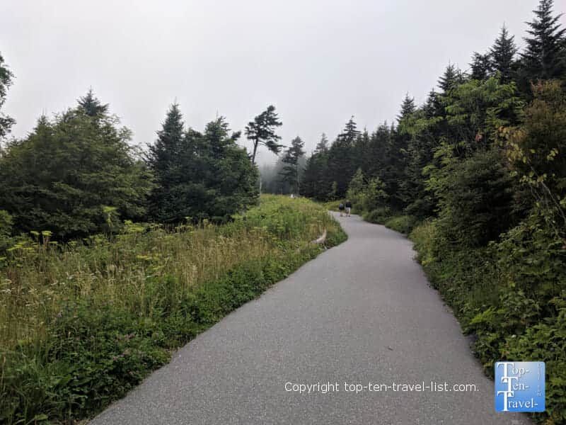 Paved walkway to Clingman's Dome - the highest point in the Smokies 