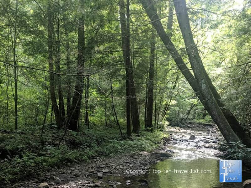 Peaceful stream along the Cataract Falls trail in the Great Smoky Mountains National Park in Tennessee