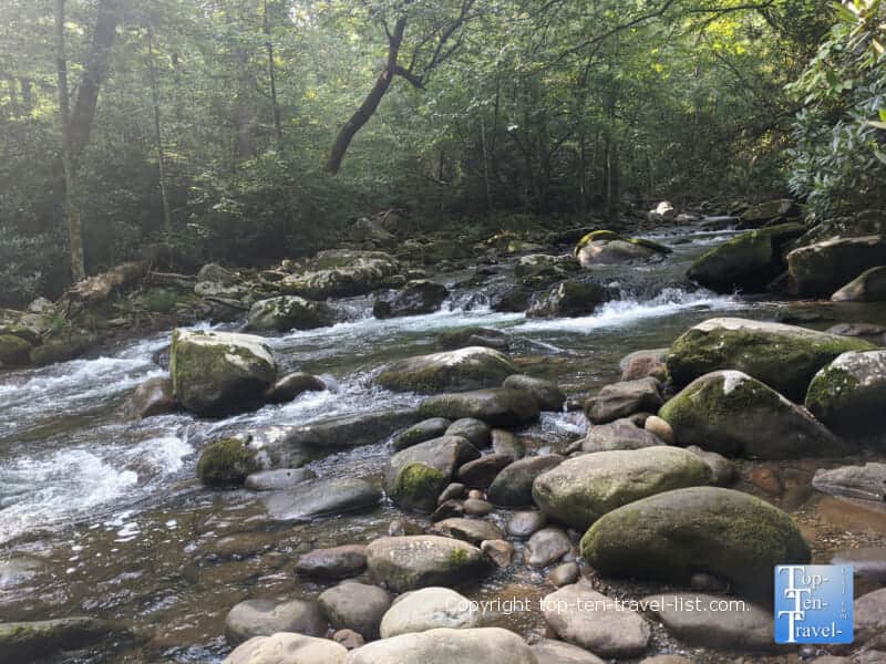 Peaceful views along the Riverview Quiet Walkway in the Great Smoky Mountains National Park in Tennessee
